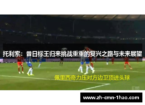托利索：昔日标王归来挑战重重的复兴之路与未来展望