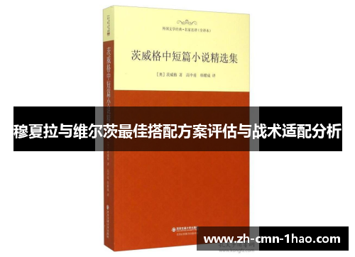 穆夏拉与维尔茨最佳搭配方案评估与战术适配分析