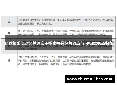 足球俱乐部财务管理实用指南提升经营效率与可持续发展战略 足球俱乐部财务管理实用指南提升经营效率与可持续发展战略